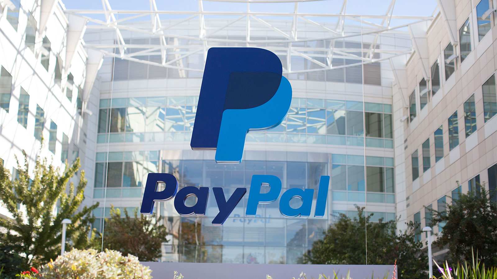 paypal number of accounts growth chart